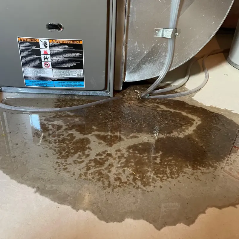 Appliance Leak Cleanup in Zebulon, NC